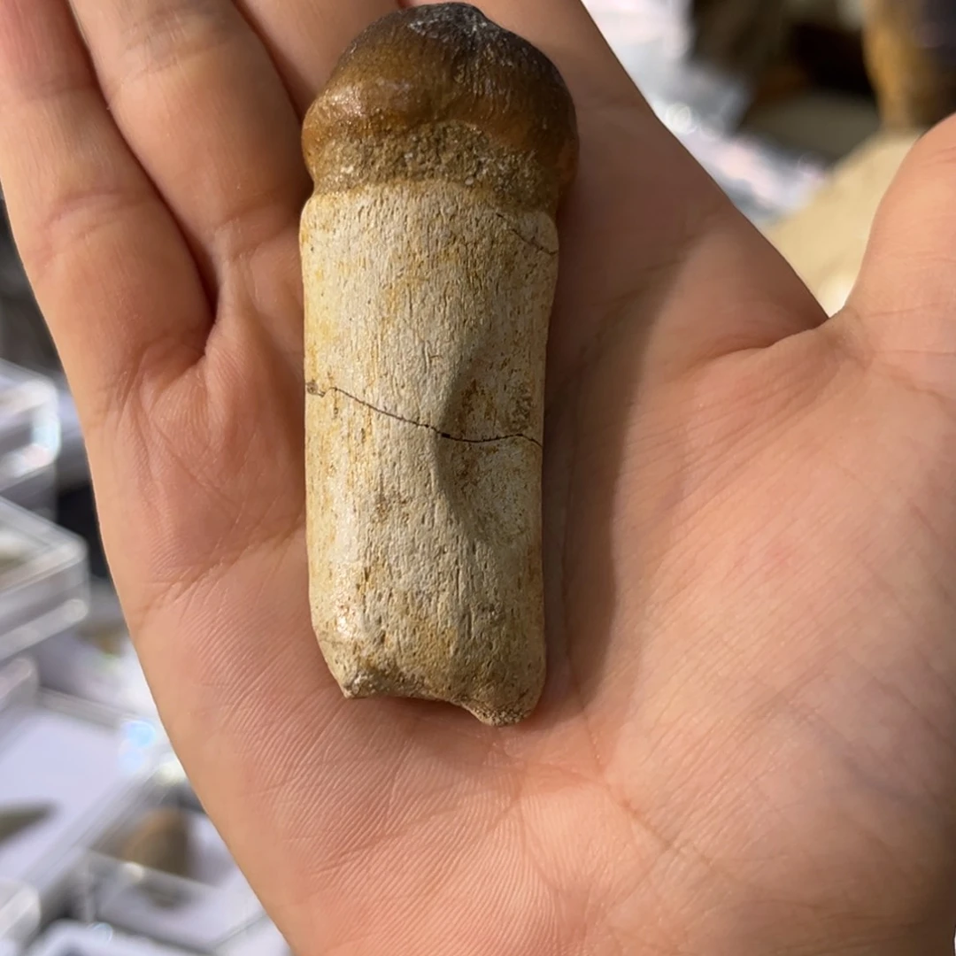 石材志***球球球球齿齿齿