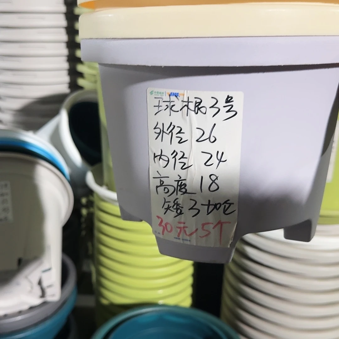 米黄色球根3号无拖6个口径26高18