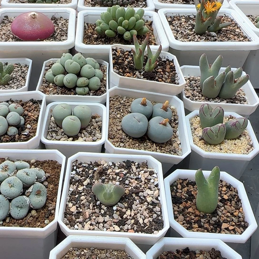 施***哈哈哈哈哈哈哈38