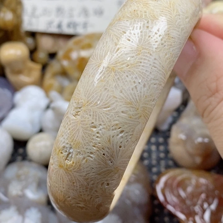 颈饰未镶嵌硅化珊瑚（珊瑚玉）有瑕 60