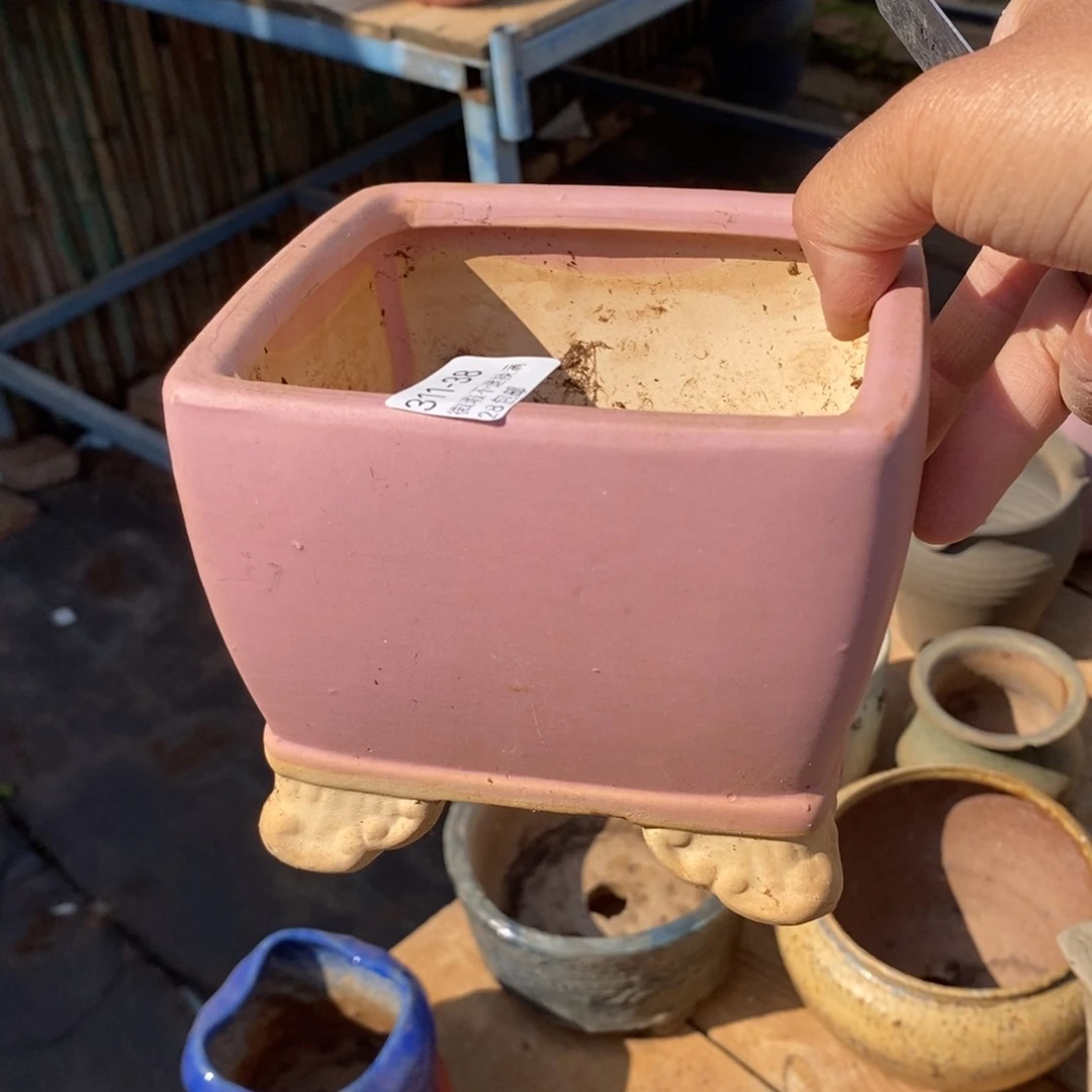 红陶用****238号多肉盆一个呀