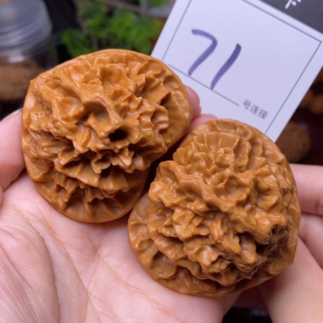 把件文玩核桃71帝王5.3