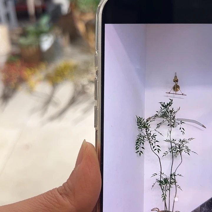 拍品树大福利大福利