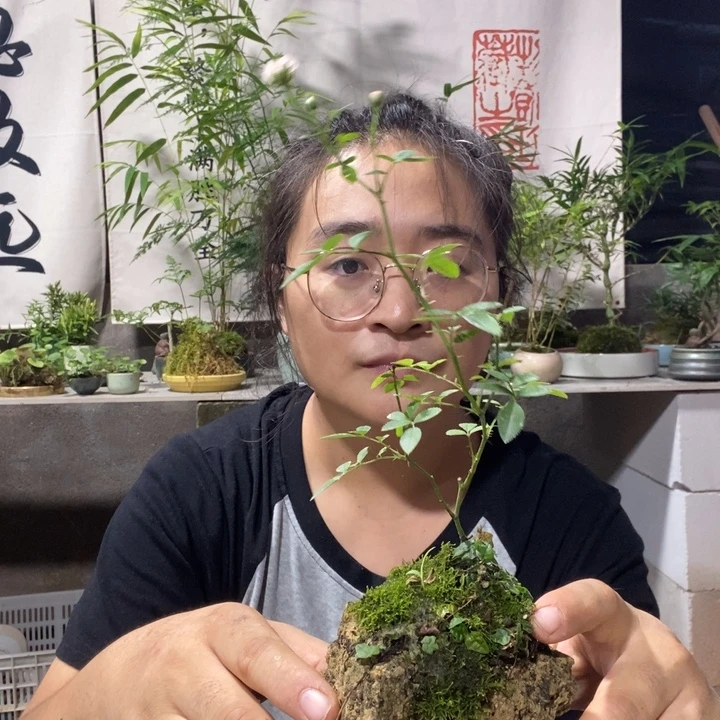 用***2无花朵退款拉黑拉黑285