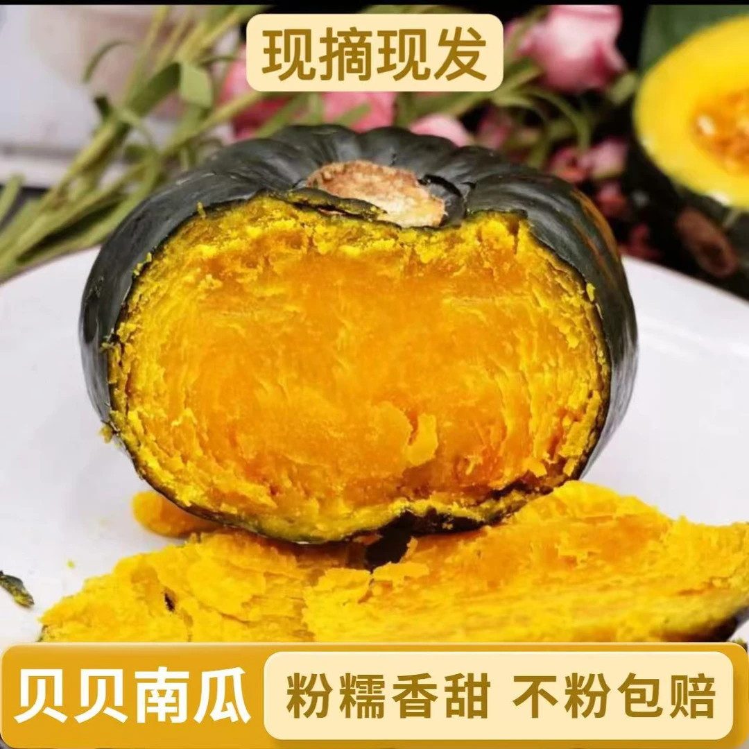 正宗贝贝南瓜粉糯香甜板栗味孕妇宝宝辅食代餐现摘现发4.5-5斤
