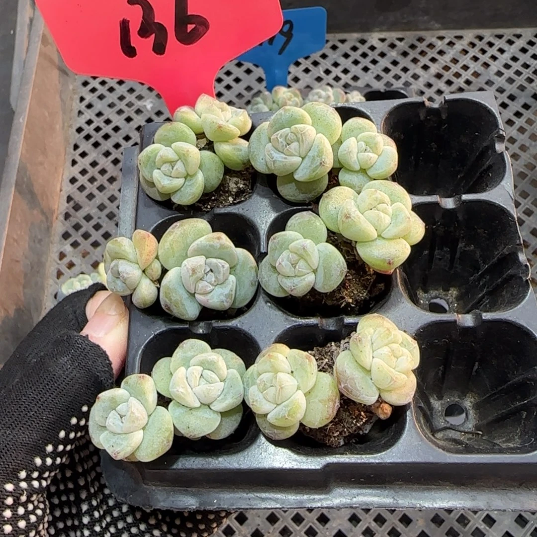 136哈哈哈哈哈哈哈哈哈哈