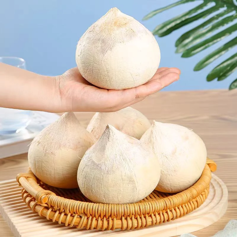 三宝爸甄选新鲜奶香椰皇椰子蛋六个装