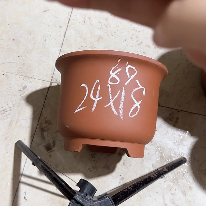 美***负紫砂花盆破损包赔