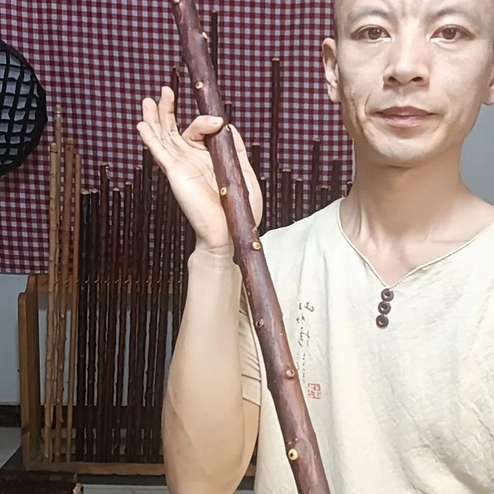 太***善太行山北对节鞭杆