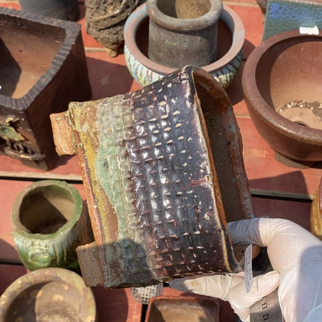 红陶盛*?59号多肉盆一个呀