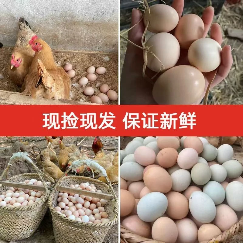 3.9元10枚鸡蛋（顺丰包邮）