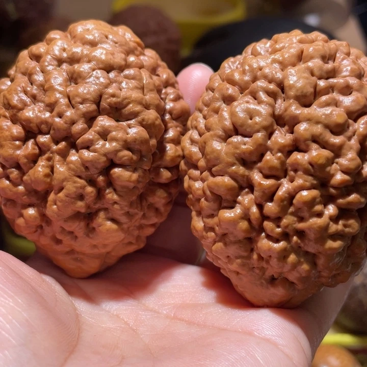 桃核把件疙瘩龙金刚菩提