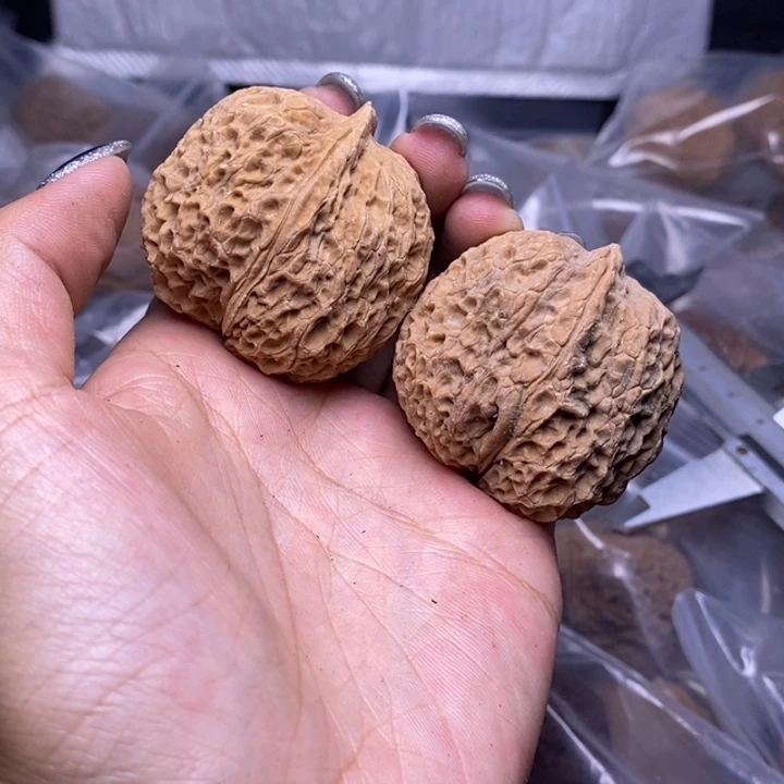 核桃云南野生铁核桃33号42mm