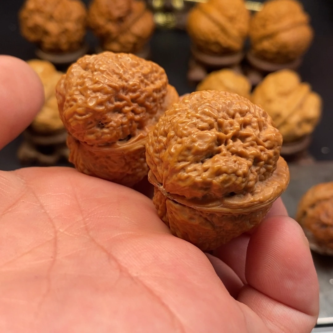 把件文玩核桃羊角蝉