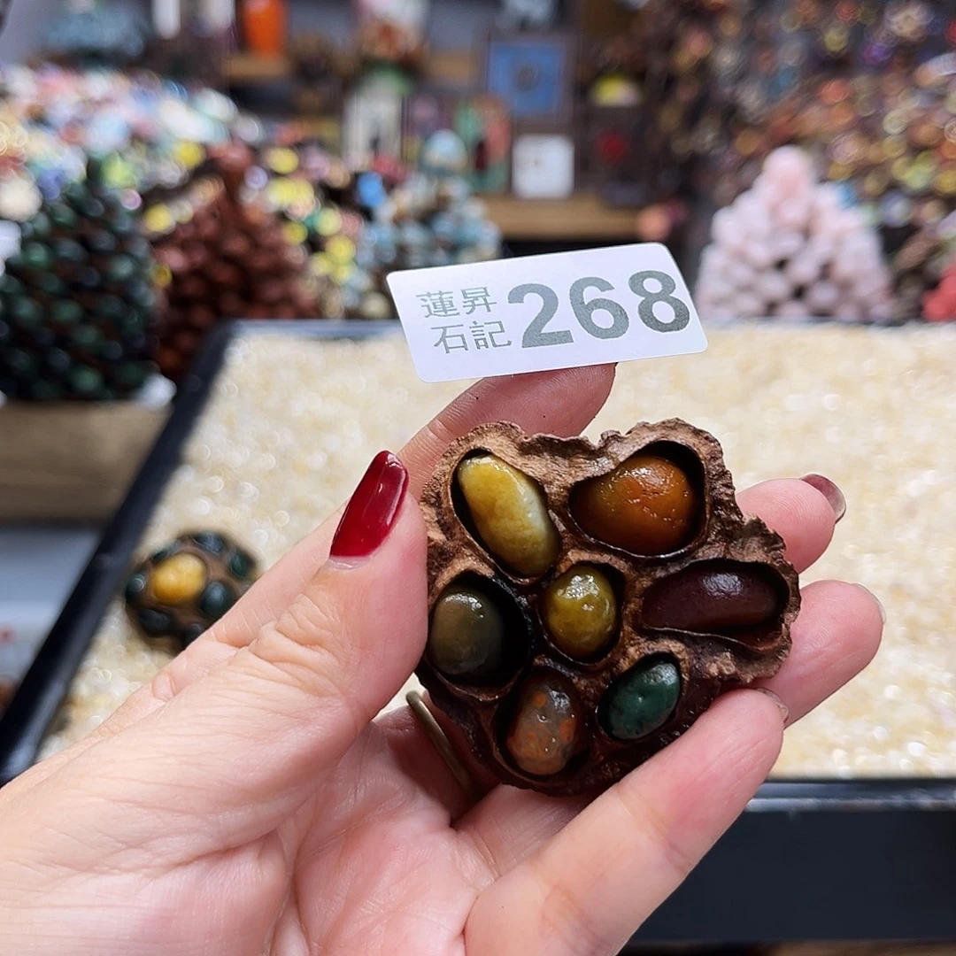 莞***然核桃木/黑胡桃（胡桃木）268
