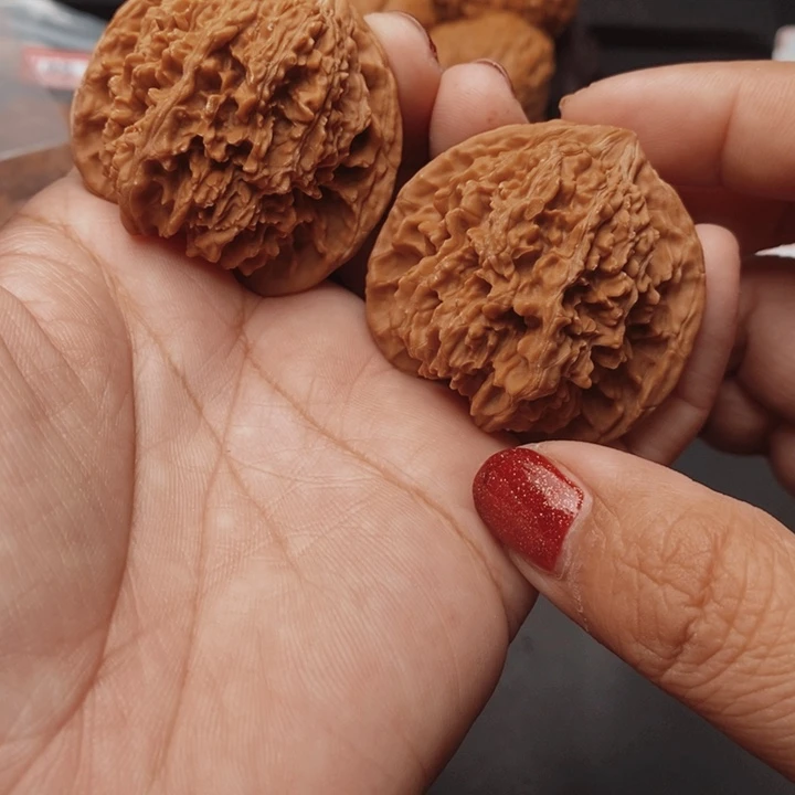 核桃百花山43尺核桃