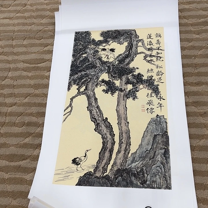 国画花鸟等多种鸟类的栖息地和