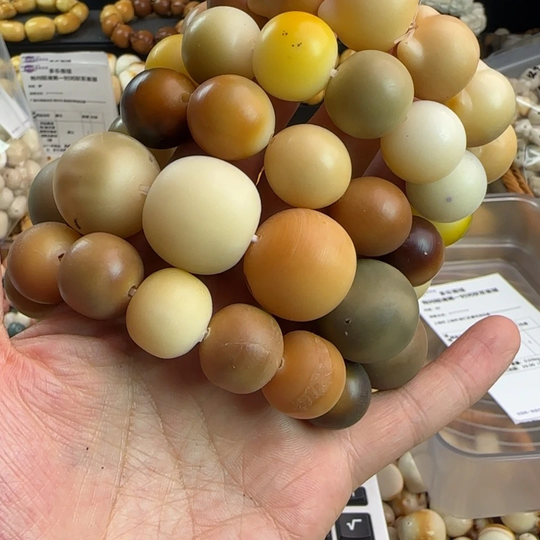 吊坠菩提根/象牙果瑕疵5条图片款无售后
