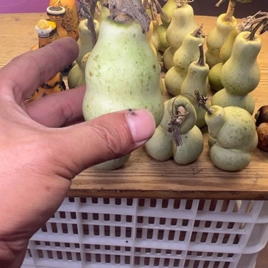 爱***霍葫芦我在你心里就是最重要最好