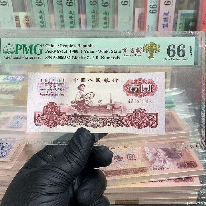 路***法53950581一张一张一张一张一张