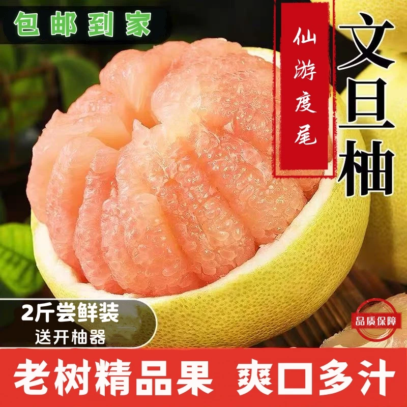 正宗福建仙游度尾文旦柚应季小柚子新鲜当季现摘儿童孕妇水果