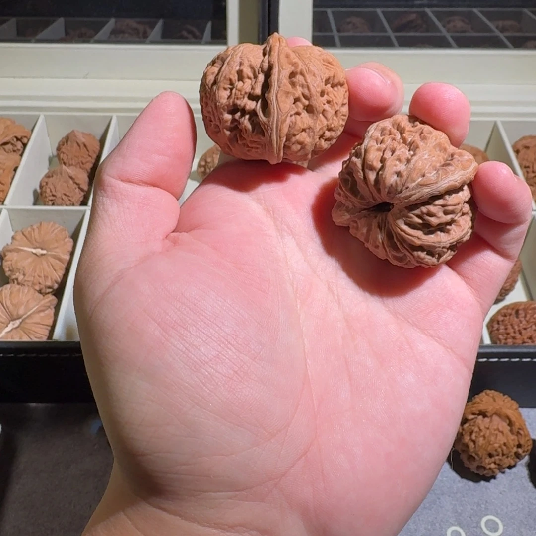 ****猴大叶紫檀（黑酸枝木类）