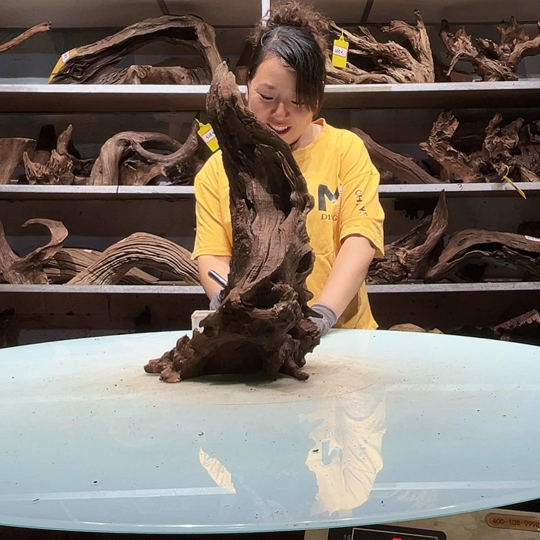 啥***鬼紫柚沉木不包损不包秒沉介意慎拍紫砂6238……