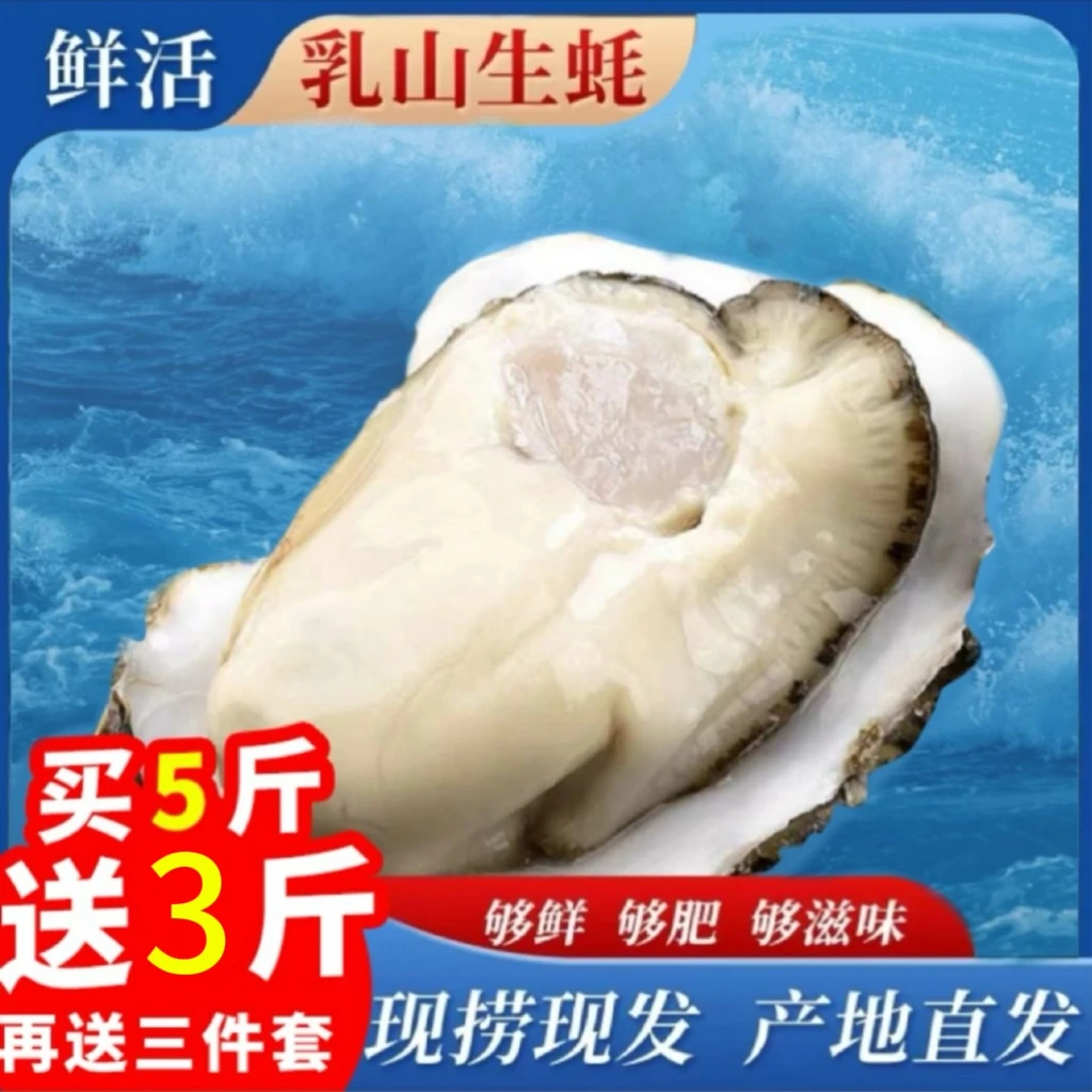 【5斤送3斤】牡蛎乳山生蚝原产地直发新鲜大生蚝精品海蛎子顺丰快递