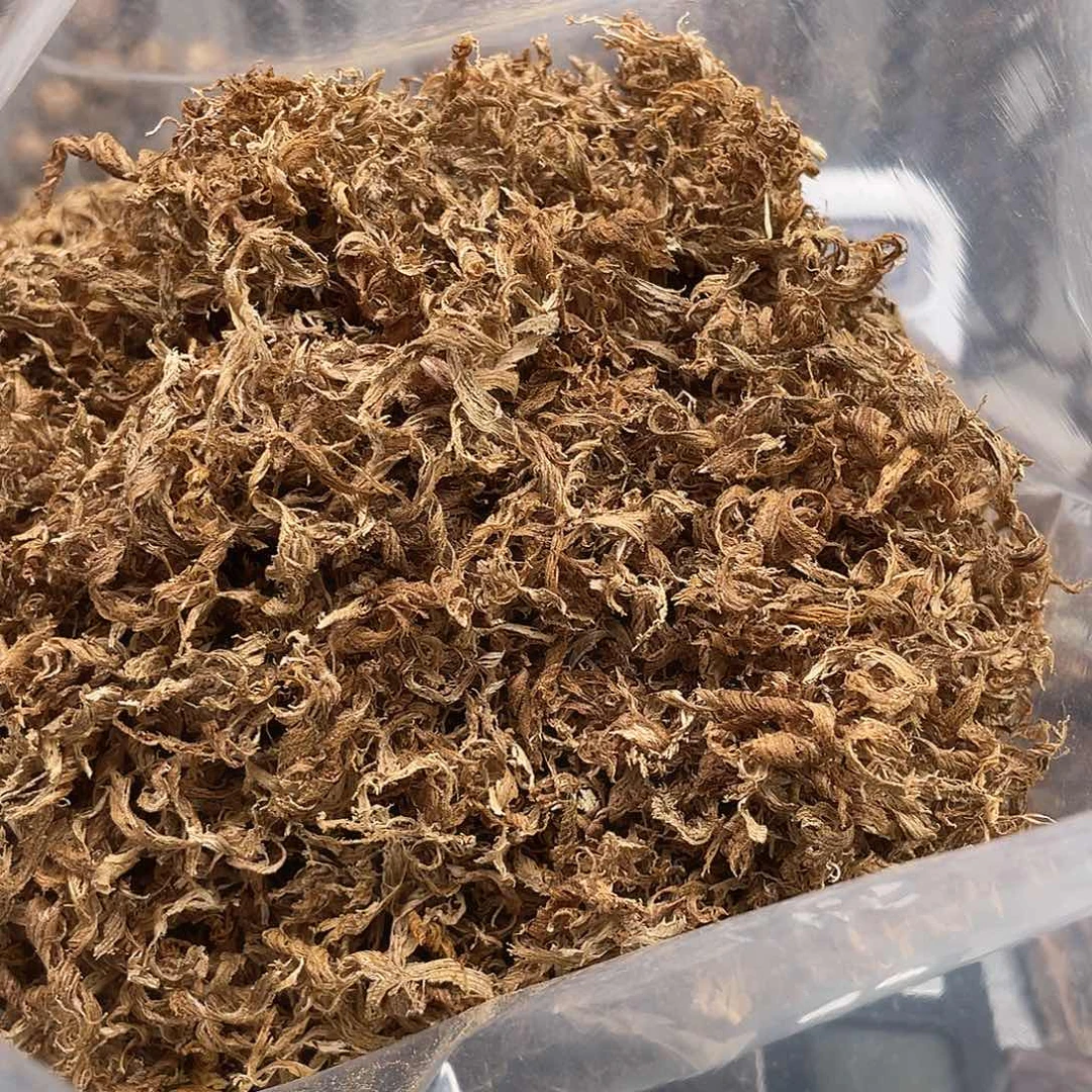 沉香沉香碎屑芽庄勾丝2