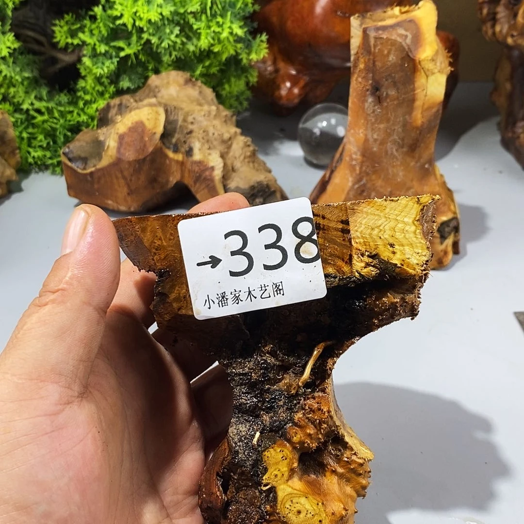 风车木（黑檀木）东****°麻梨疙瘩