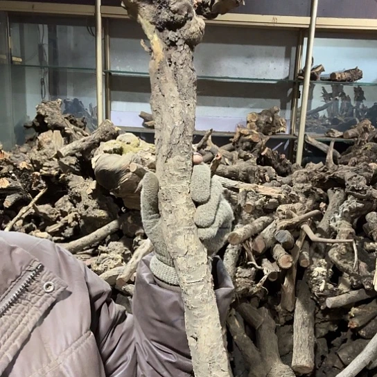 香榧木用****1火琉璃的故事毛料摆件