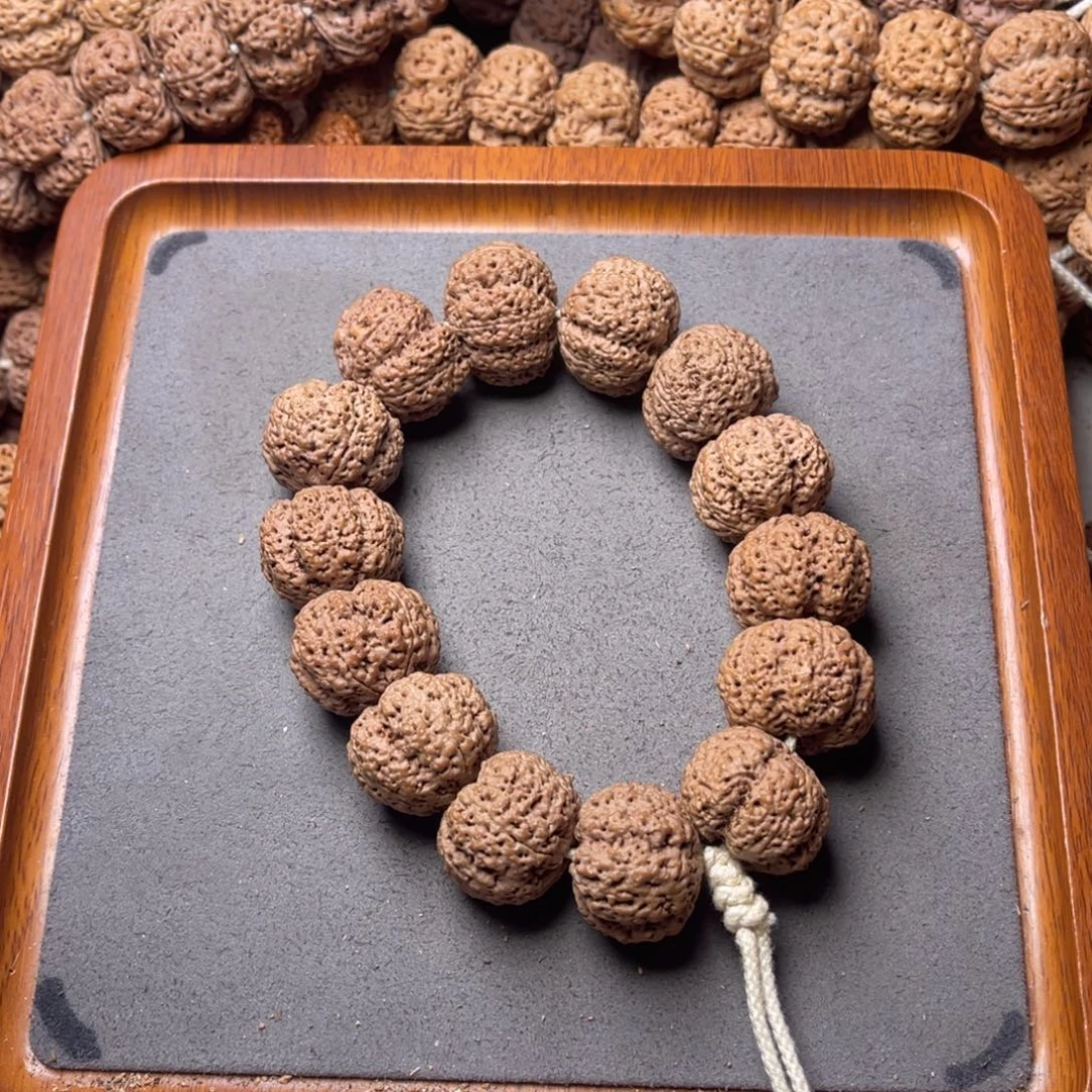 菩提籽类29号金刚菩提菠萝蜜24+