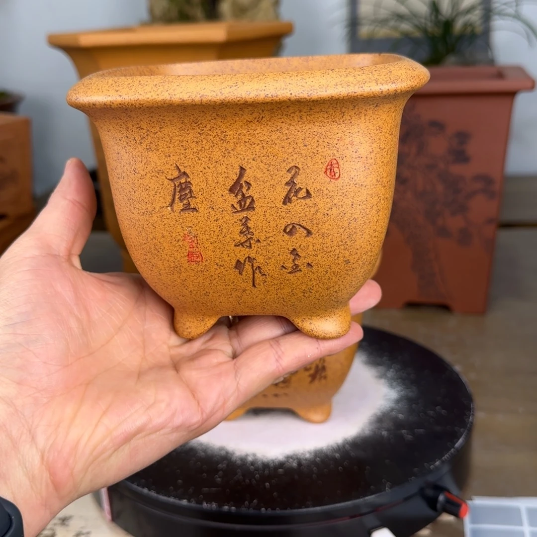 紫砂花盆紫砂花盆