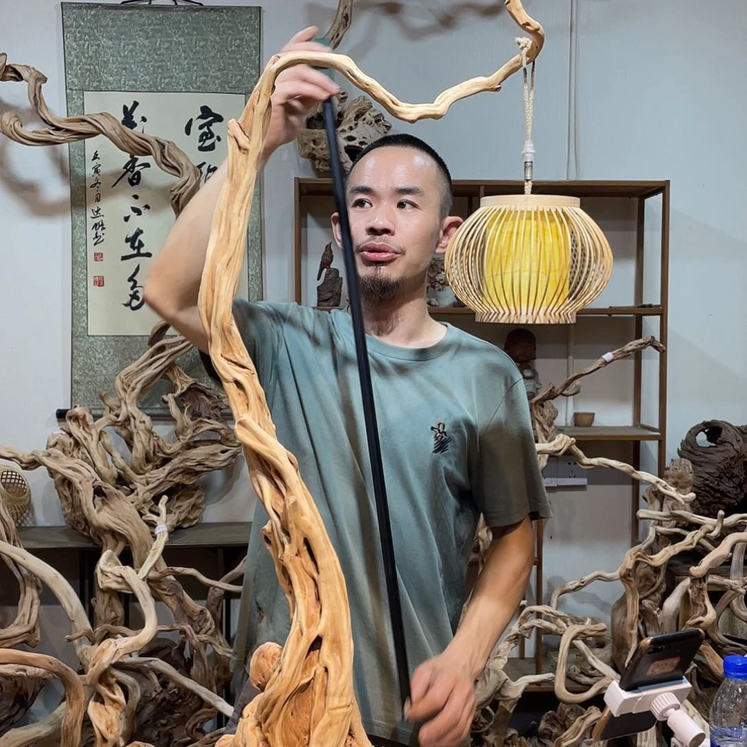 香榧木杜鹃花根七