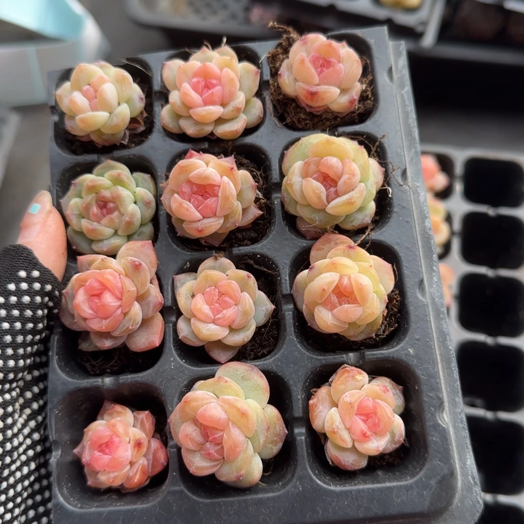 哈哈哈哈哈哈哈哈哈哈