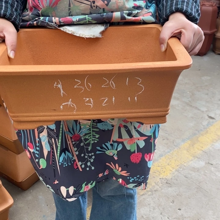 紫砂花盆只顾吃药睡