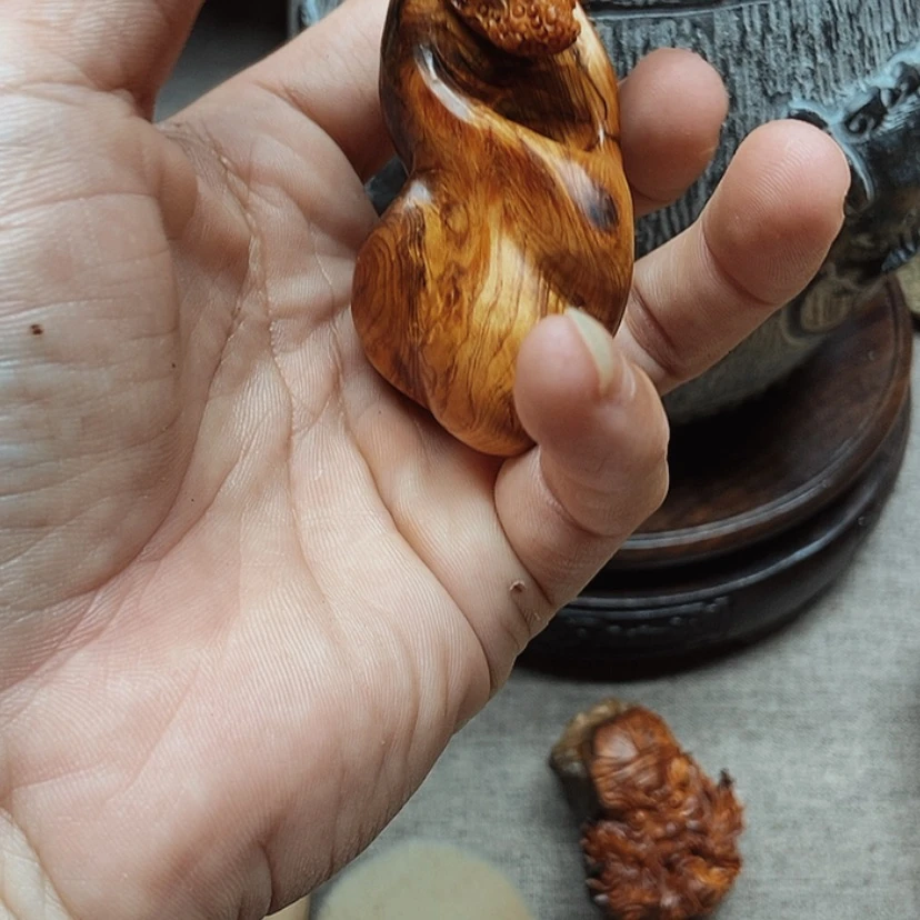【闪购商品】海*手把手的设计和制作