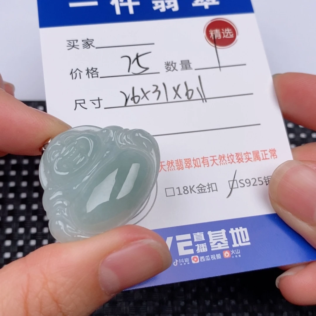 翡翠银S925镶嵌颈饰
