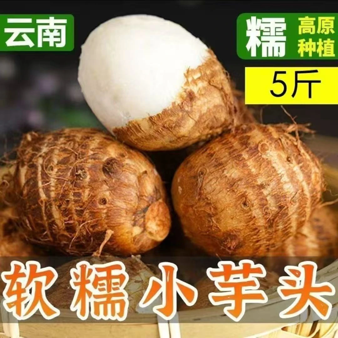 新鲜现挖牛奶小芋头香甜软糯应季上市产地直供