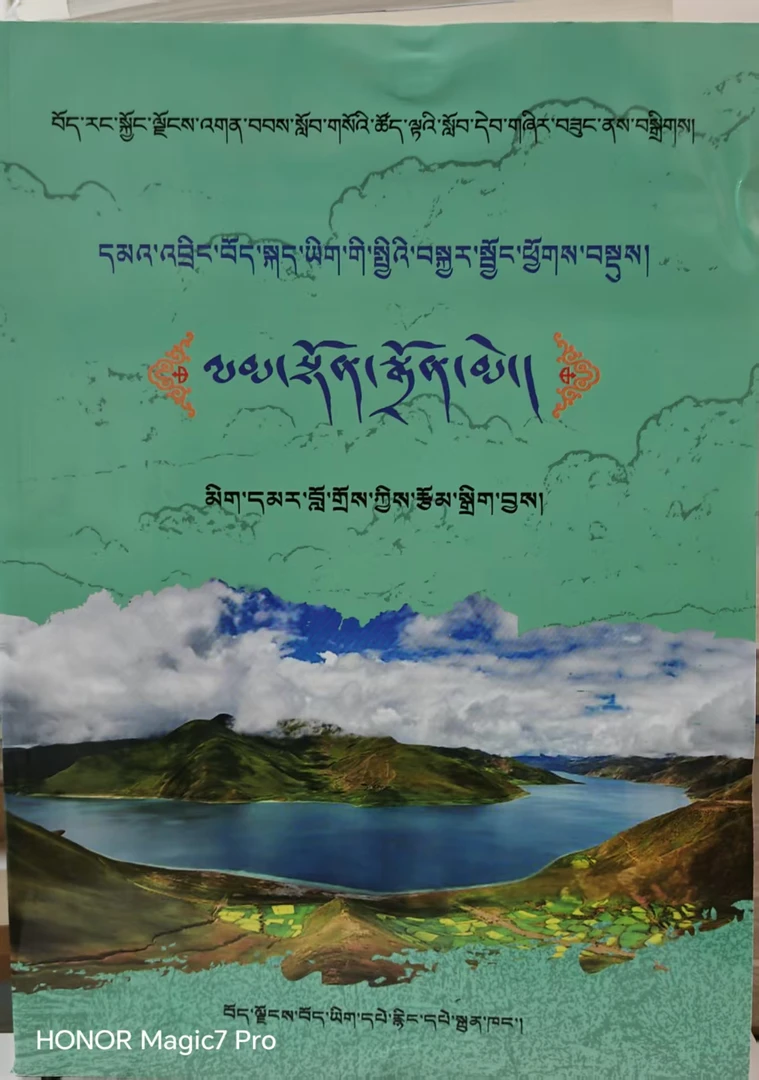 初中藏语文总复习