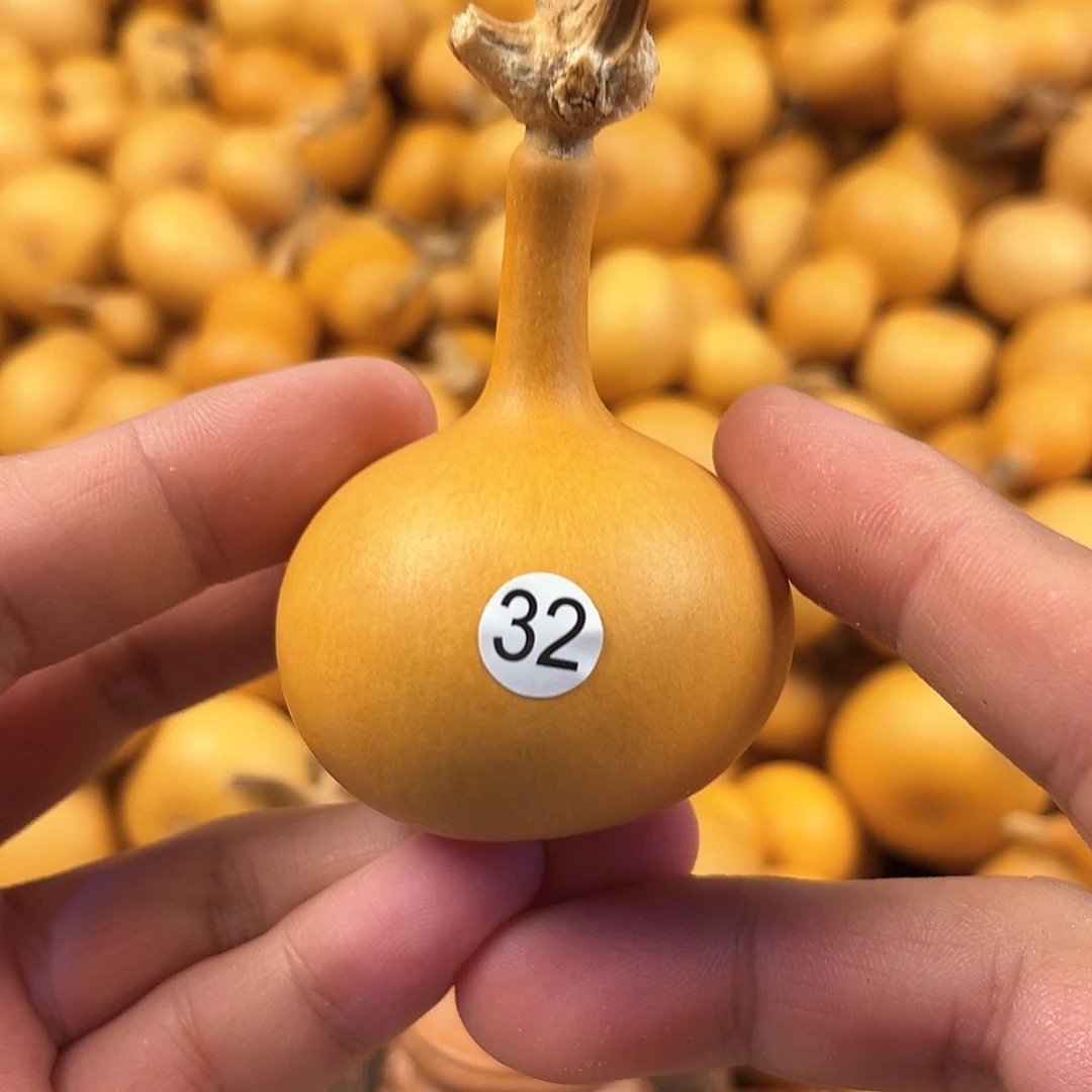 四葫芦葫芦葫芦葫芦32