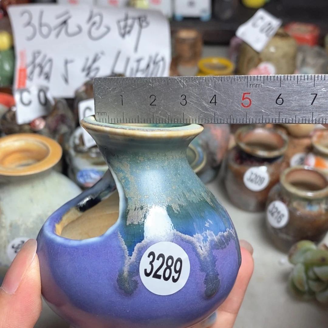 拍5送一个小礼物