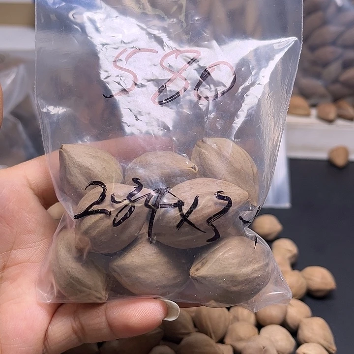 手串/手链橄榄核212