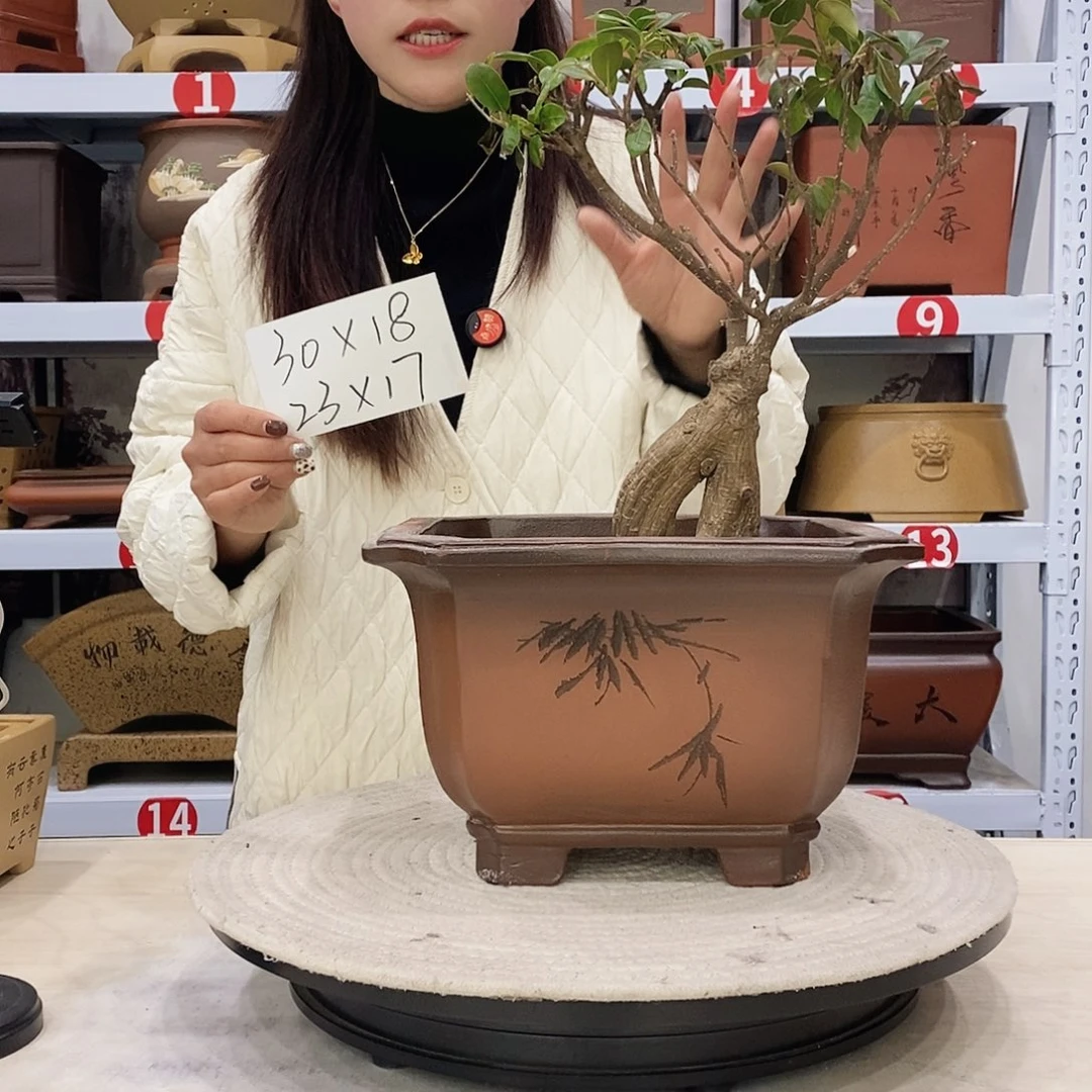 紫砂花盆紫砂艺术