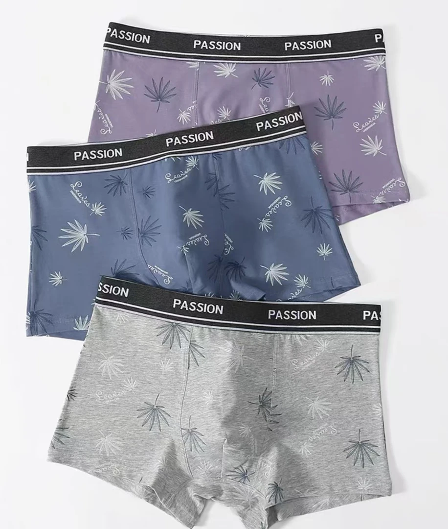 男士内裤抗菌透气四角 二十九块九，十条，直播间展示为准，材质混发