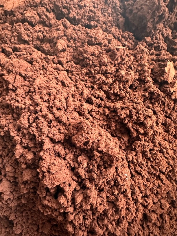 -灵芝孢子粉破壳头道孢子粉天然灵芝孢子粉250g