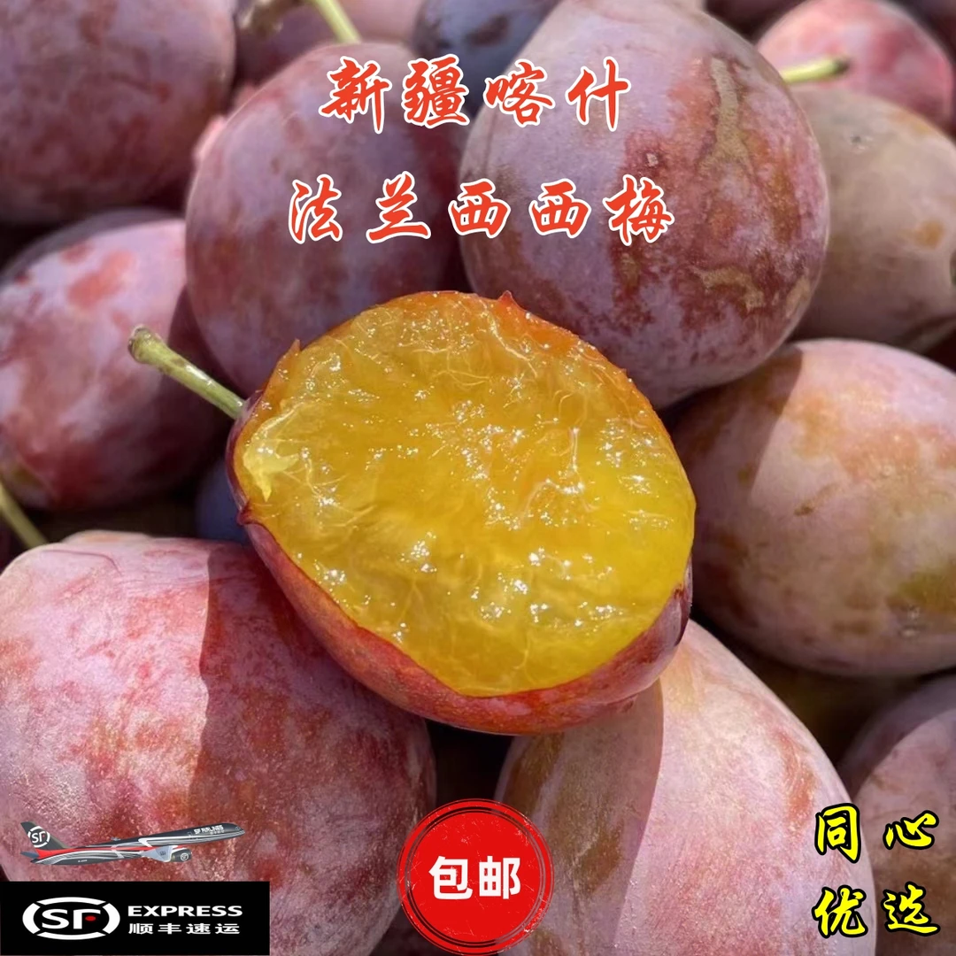 新疆特产喀什法兰西西梅当季水果新鲜采摘皮薄多汁饱满顺丰包邮