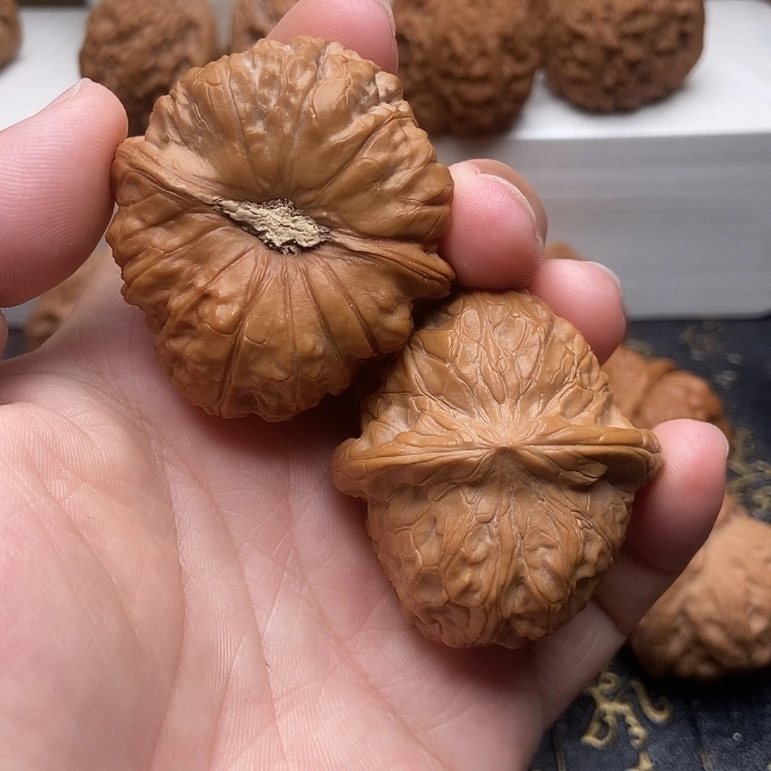 43尺南瓜，看好在拍