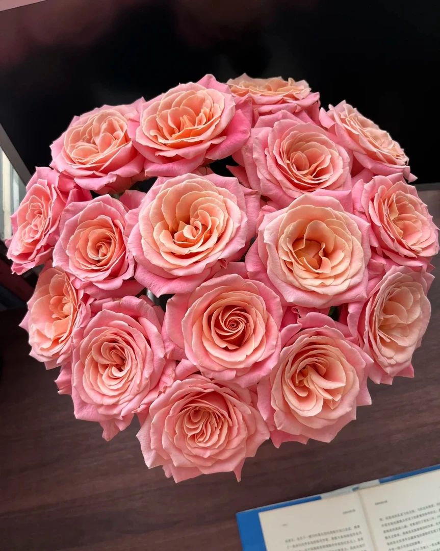 （曼曼）朱小姐单头玫瑰15+5支防损鲜花   任意2单包邮