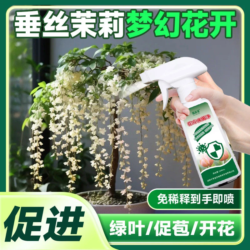 垂丝茉莉专用营养液【直接喷】黄叶不开花生长慢专用免稀释液体肥